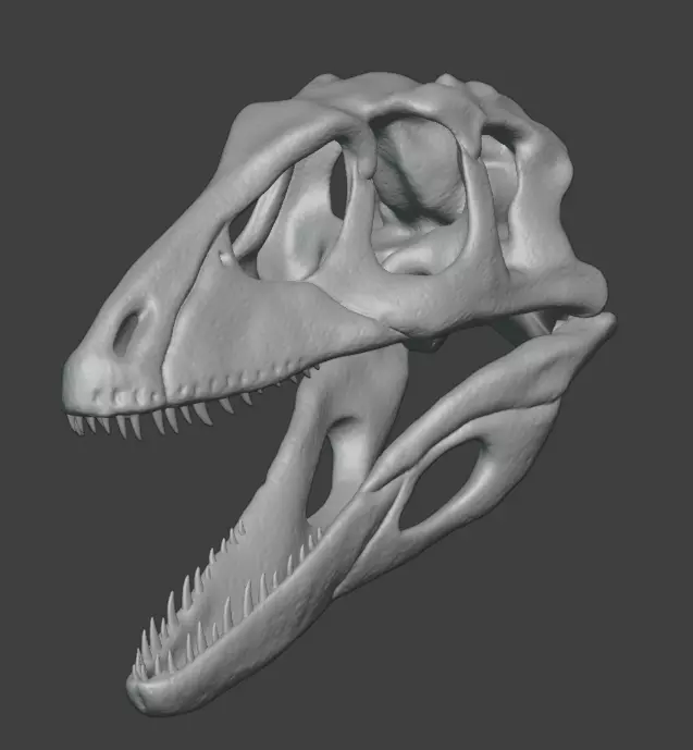 3D articulated Deinonychus skull Free 3D print model_0