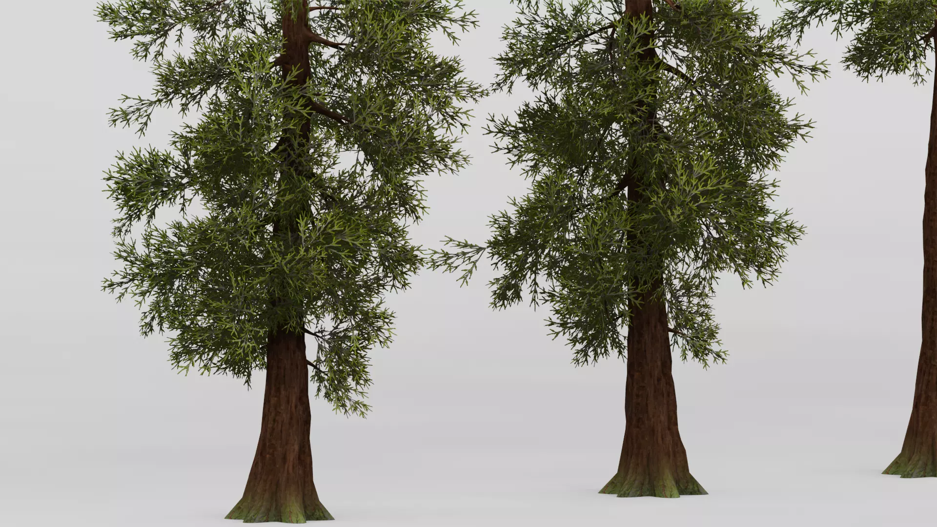 ROBLOX Realistic Sequoia Tree Forest Pack 01 UPDATED Low-poly 3D model_6
