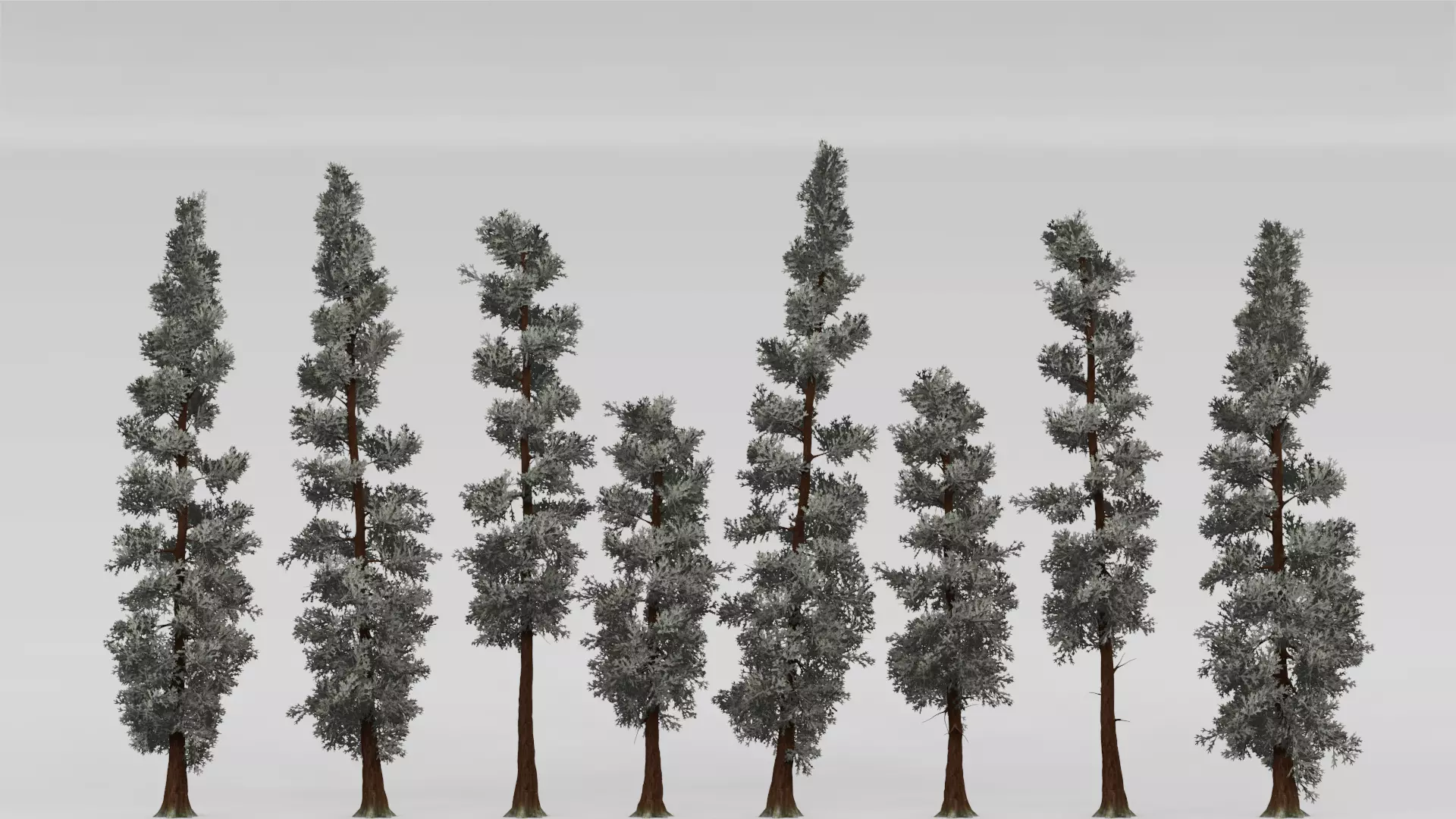 ROBLOX Realistic Sequoia Tree Forest Pack 01 UPDATED Low-poly 3D model_3