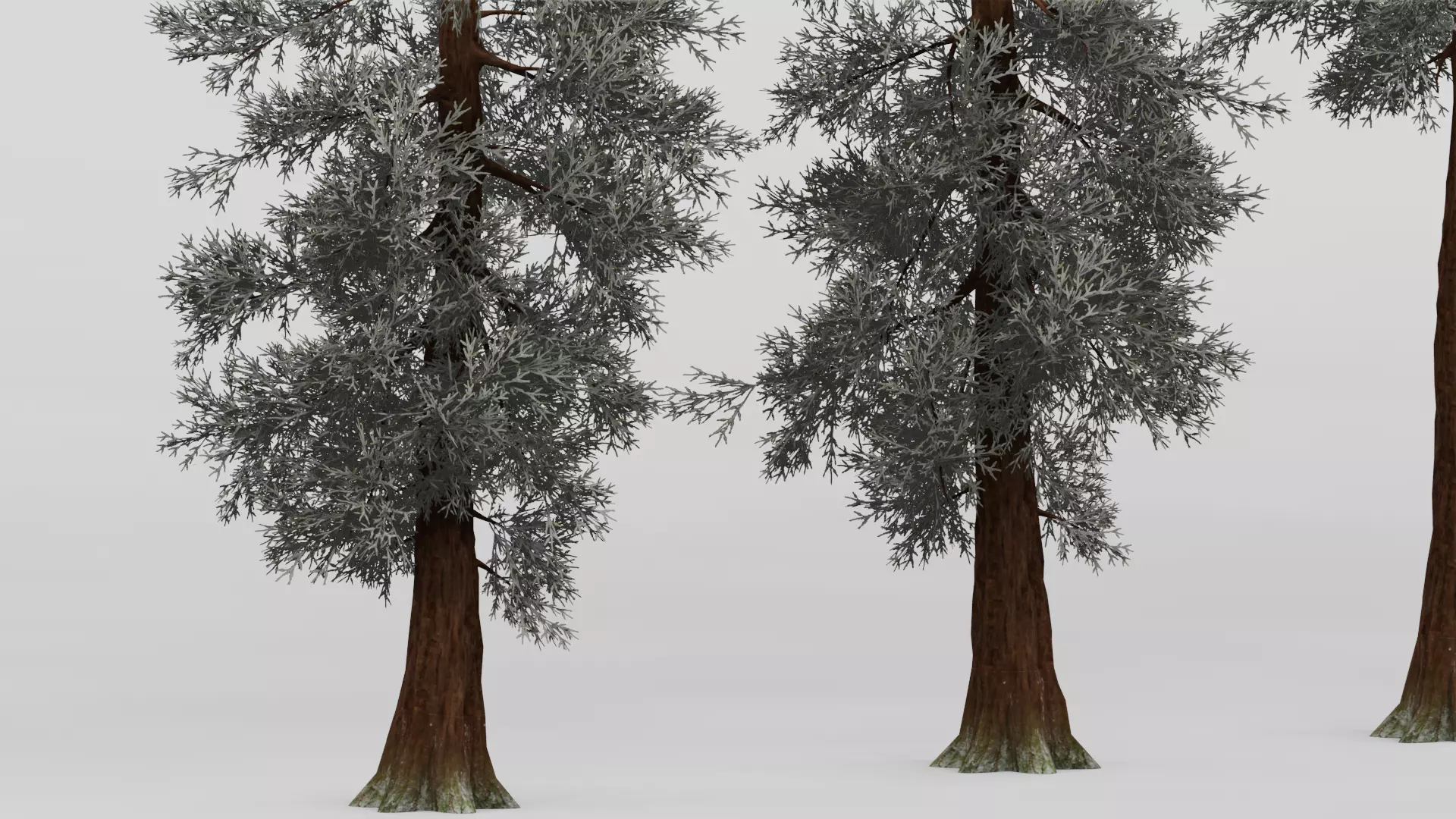 ROBLOX Realistic Sequoia Tree Forest Pack 01 UPDATED Low-poly 3D model_7