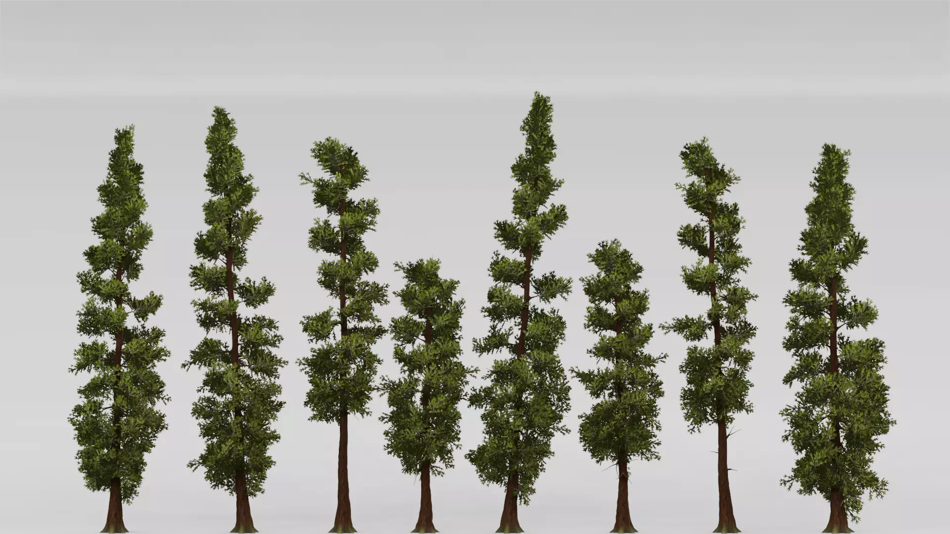 ROBLOX Realistic Sequoia Tree Forest Pack 01 UPDATED Low-poly 3D model_2