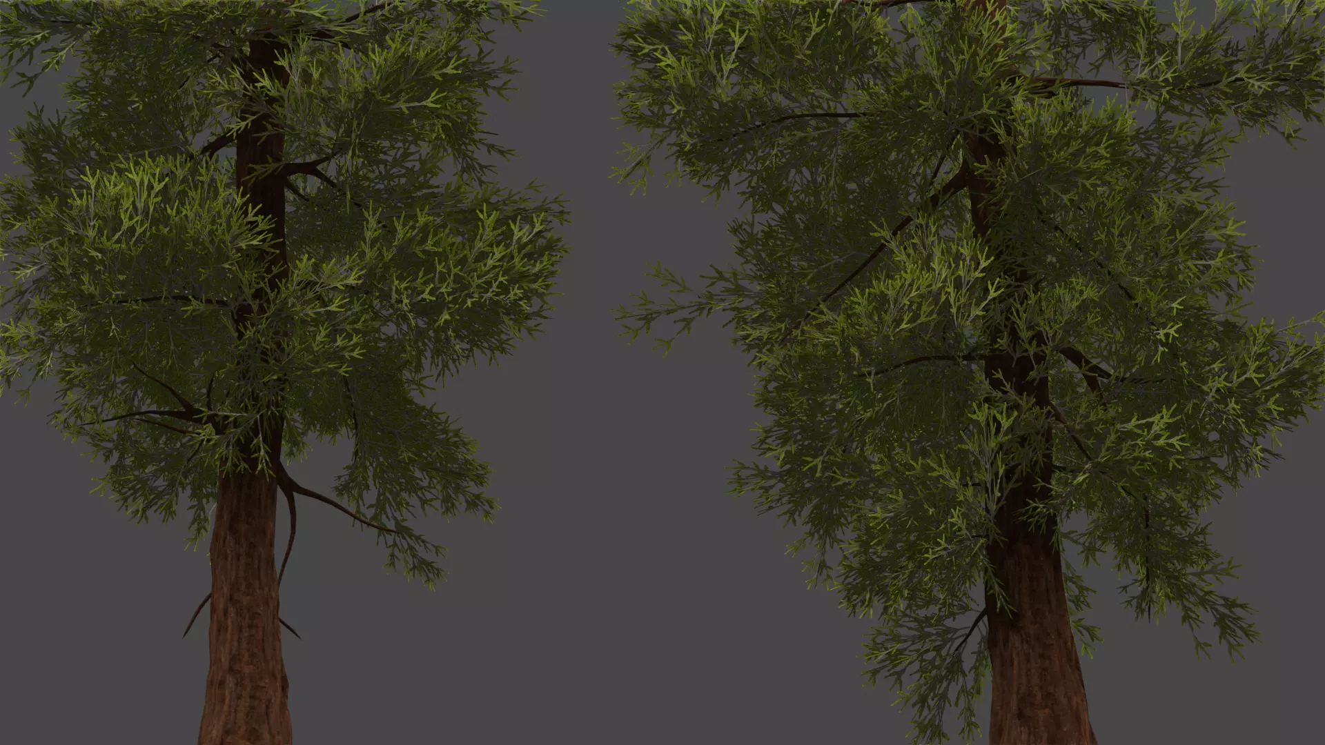 ROBLOX Realistic Sequoia Tree Forest Pack 01 UPDATED Low-poly 3D model_8