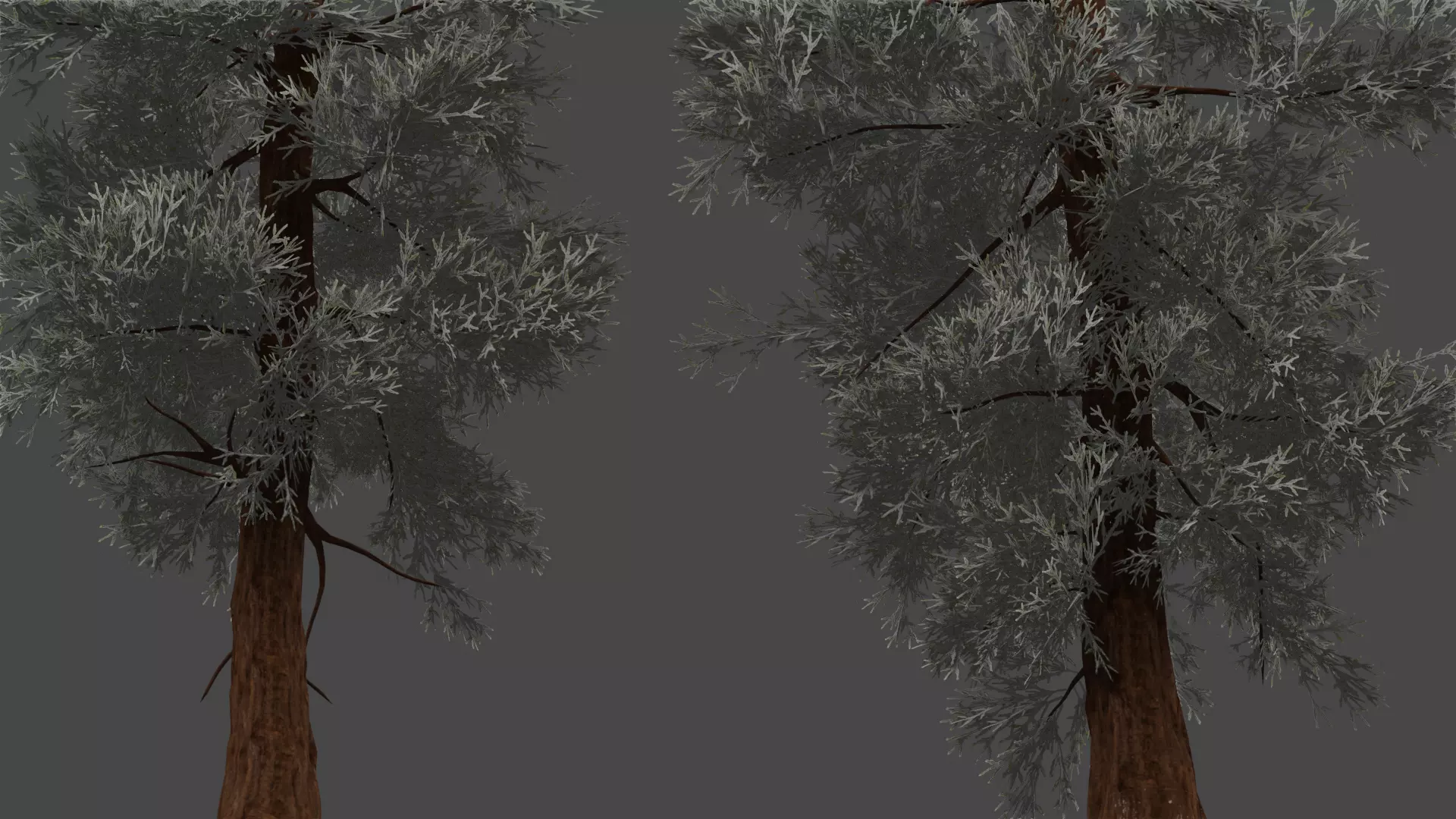 ROBLOX Realistic Sequoia Tree Forest Pack 01 UPDATED Low-poly 3D model_9