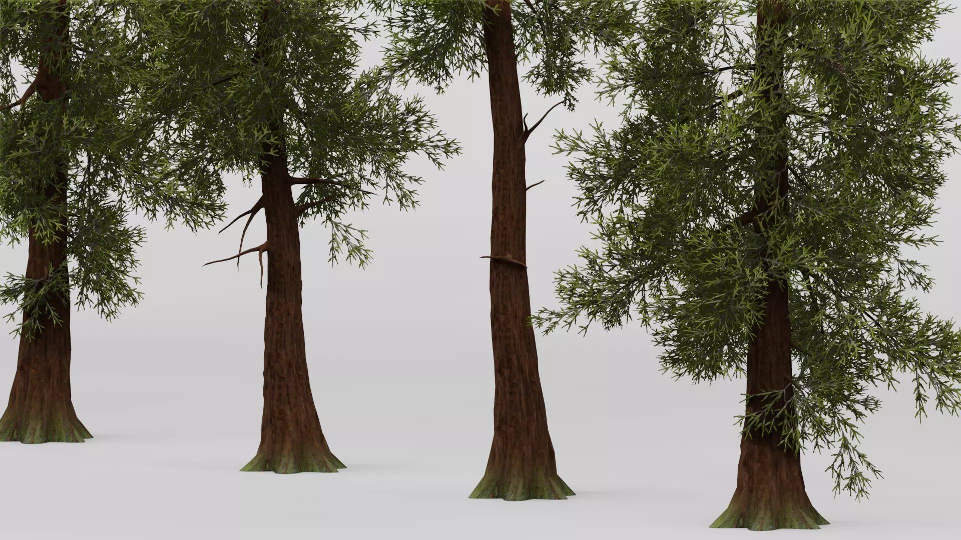 ROBLOX Realistic Sequoia Tree Forest Pack 01 UPDATED Low-poly 3D model_4