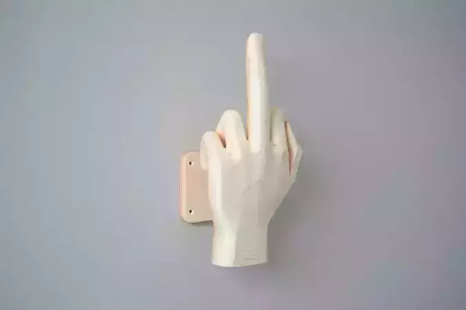 Wooden Middle Finger Hand on Plaque