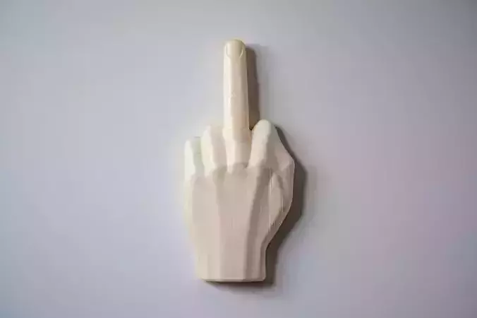 Middle Finger Hand Magnet