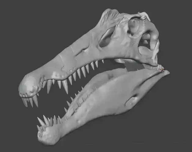 3D articulated Spinosaurus skull 