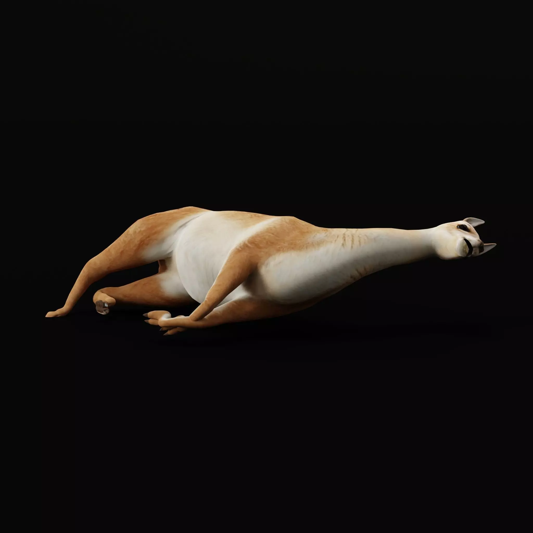 Guanaco Llama Low-poly 3D model_40