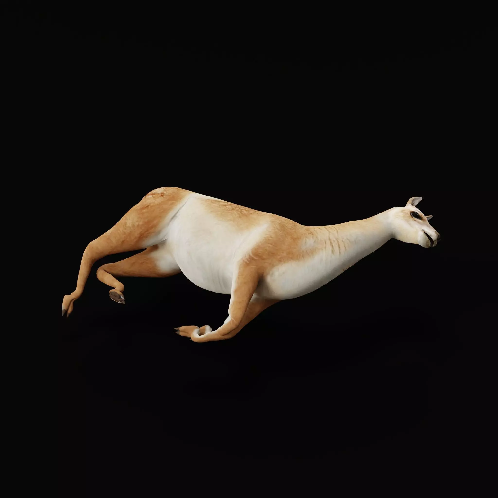 Guanaco Llama Low-poly 3D model_41