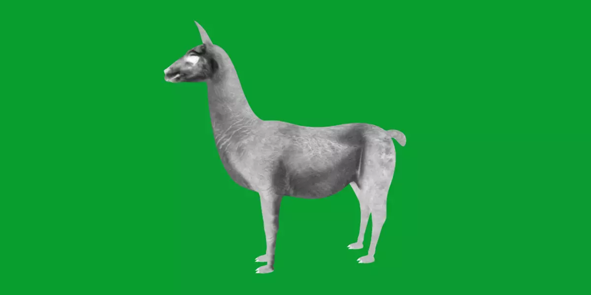 Guanaco Llama Low-poly 3D model_25
