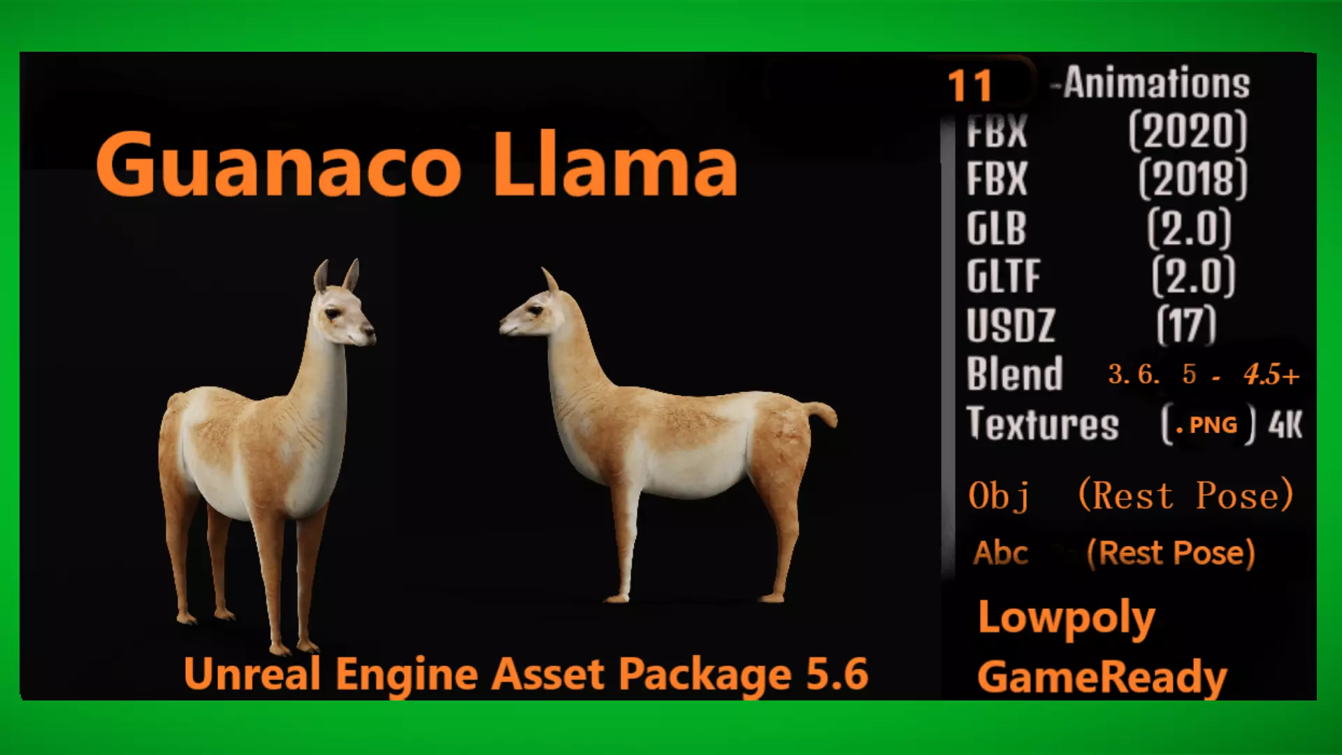 Guanaco Llama Low-poly 3D model_2