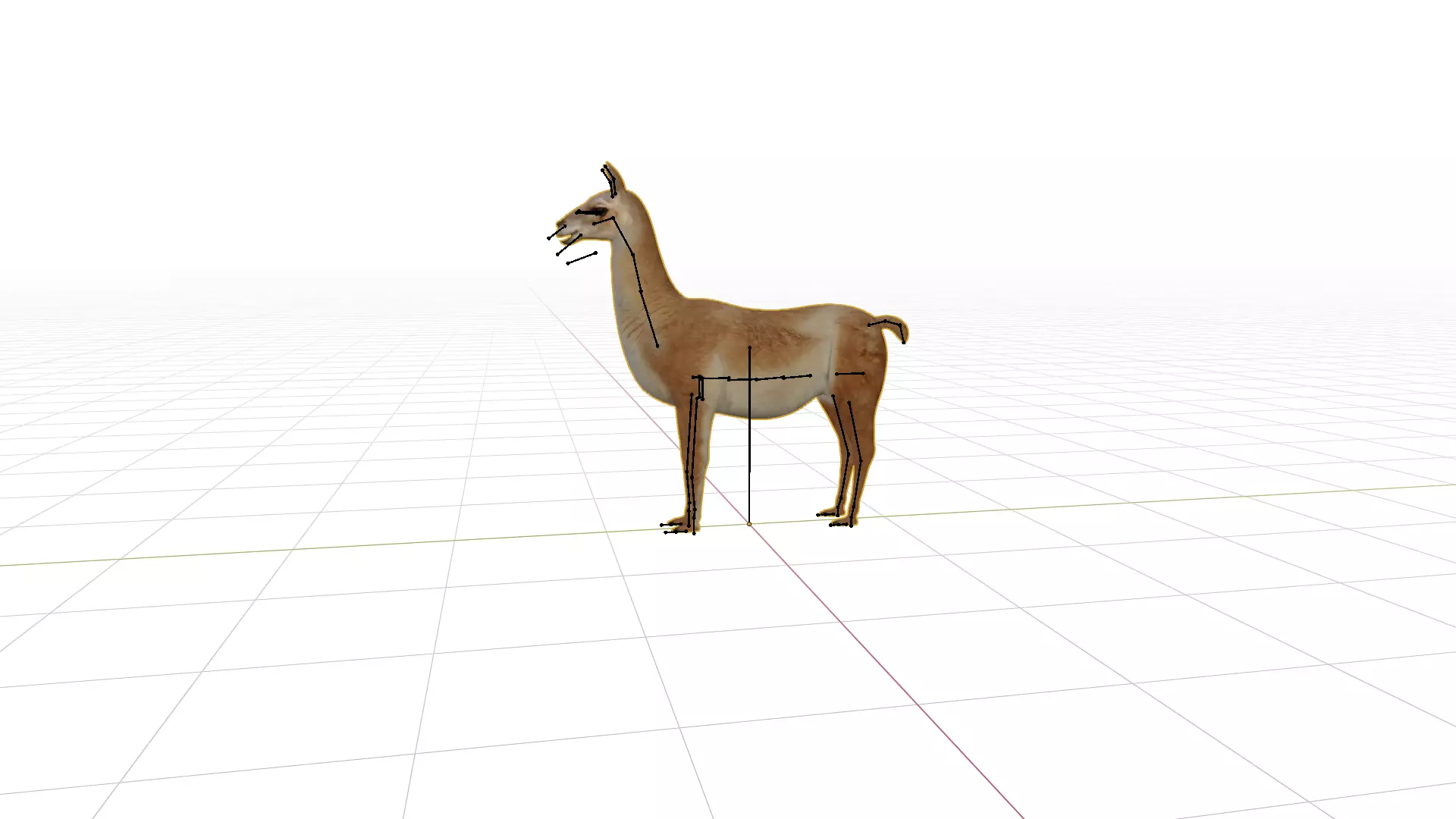 Guanaco Llama Low-poly 3D model_32
