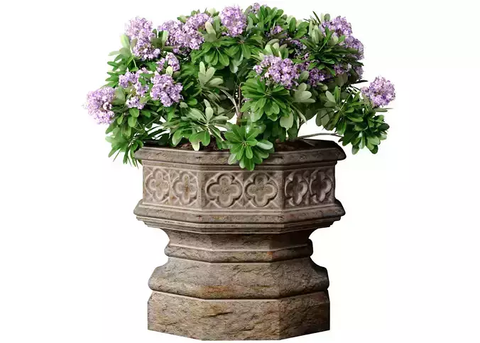 Decorative garden tree plant in Oriental Arabic vase flowerpot