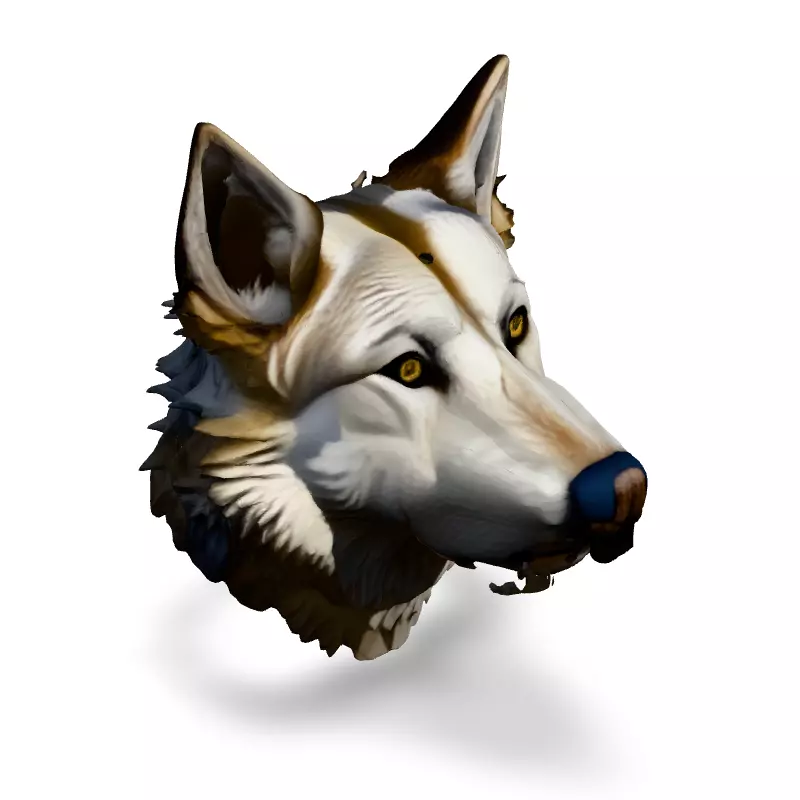 Realistic Wolf Head 3D Model Low-poly 3D model_2