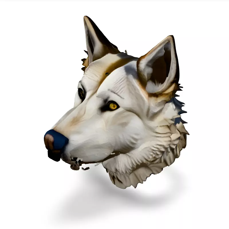 Realistic Wolf Head 3D Model Low-poly 3D model_1