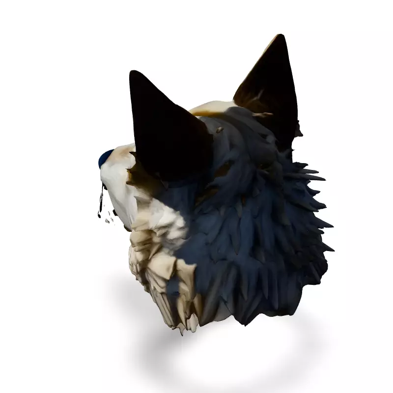 Realistic Wolf Head 3D Model Low-poly 3D model_4