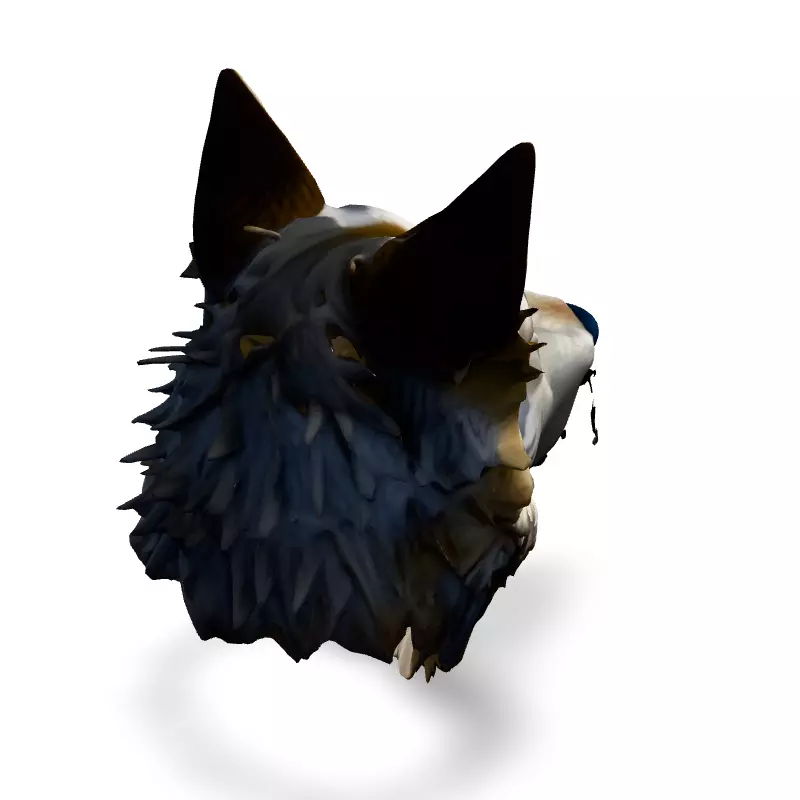 Realistic Wolf Head 3D Model Low-poly 3D model_5