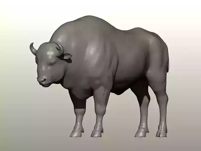 Realistic Bison 3D Model