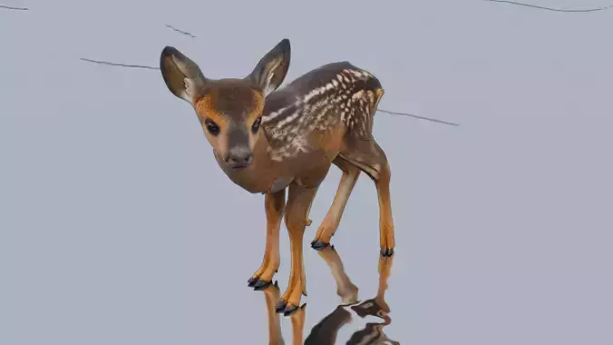 Young sika deer Low-poly 3D model