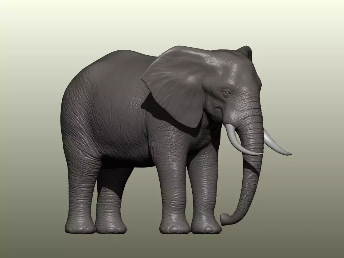 Elephant 3D Model 3D print model