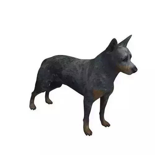 Realistic Dog 3D Model Low Poly Game Ready
