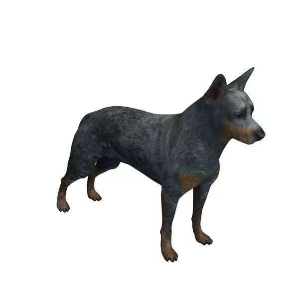 Realistic Dog 3D Model Low Poly Game Ready 3D model