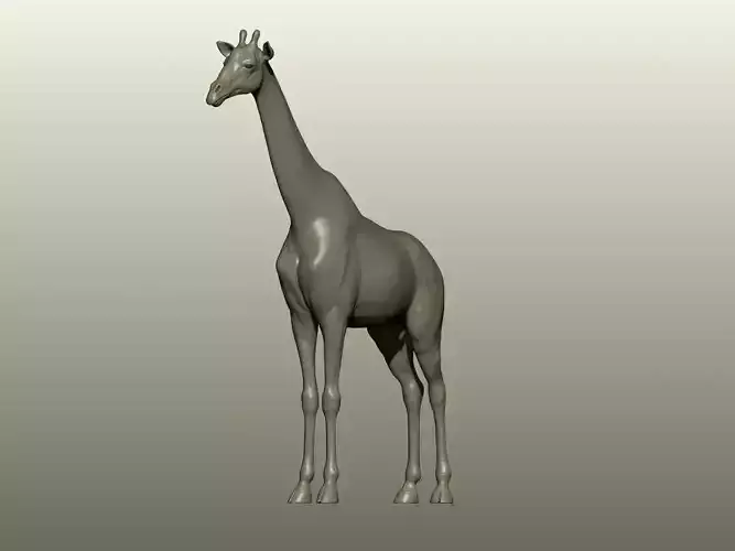 Giraffe 3D Model