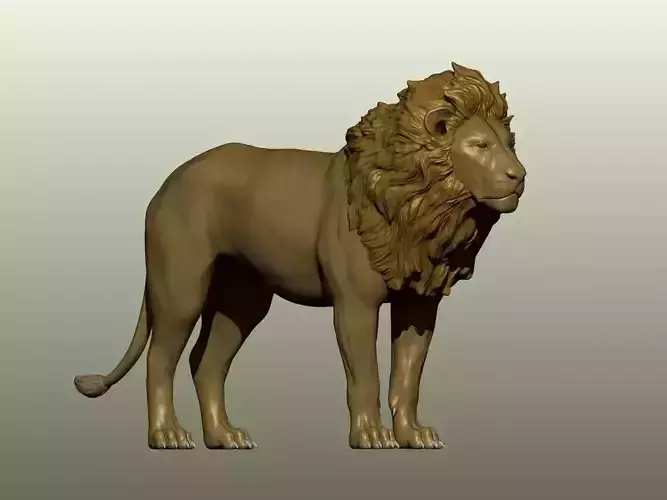 Lion 3D Model