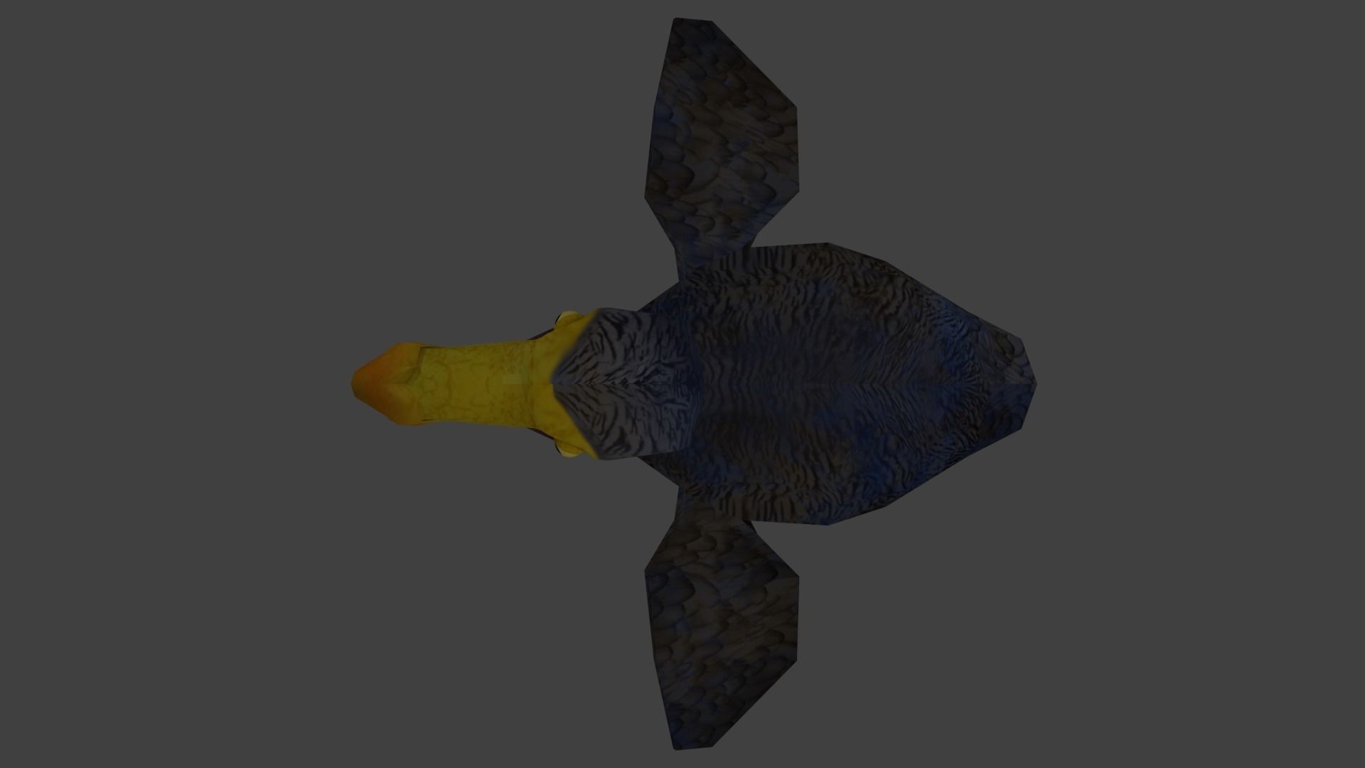 dodo bird Low-poly 3D model_0
