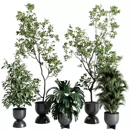 indoor plant set 651 pot tree in a concrete dirt vase 3D model