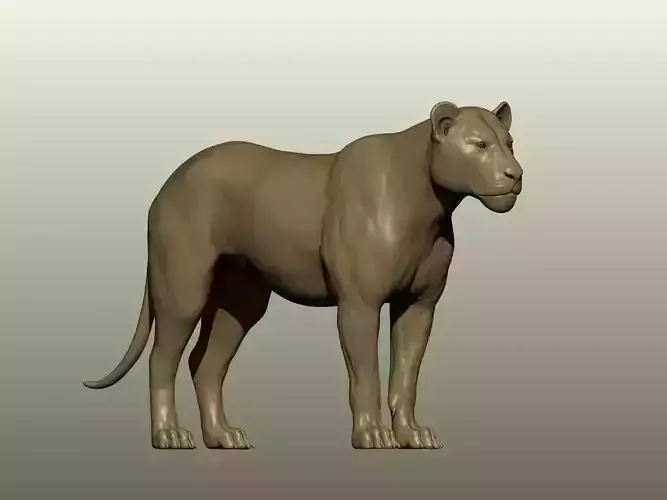 Lioness 3D Model