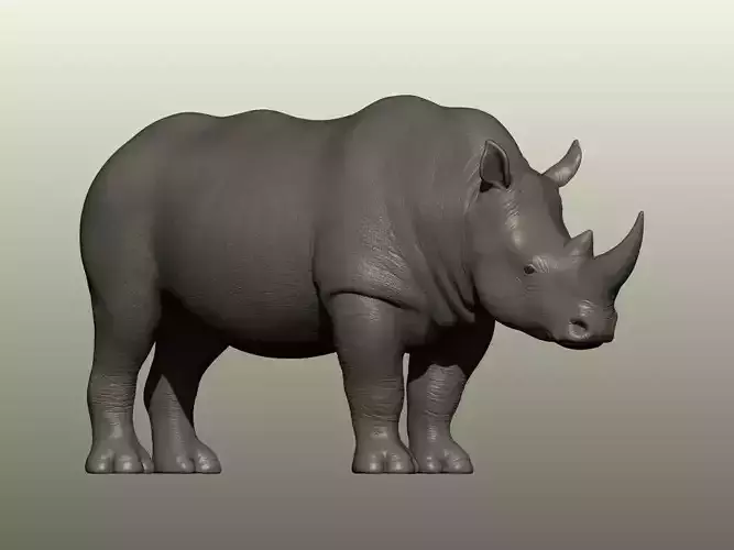 Rhinoceros 3D Model