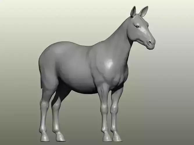 Zebra 3D Model