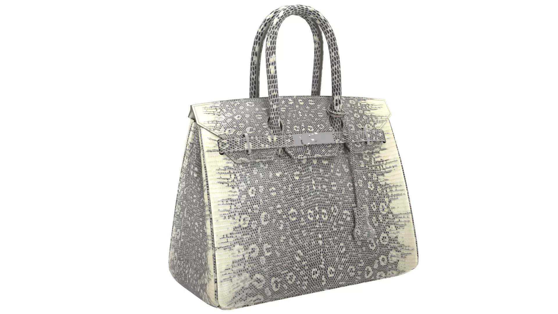 Hermes Birkin Lizard leather 3D Handbag Model Low-poly 3D model_0