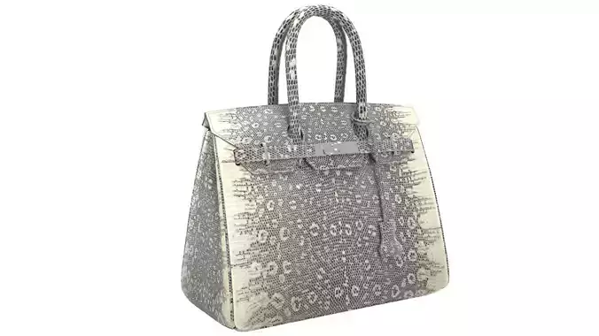 Hermes Birkin Lizard leather 3D Handbag Model Low-poly 3D model