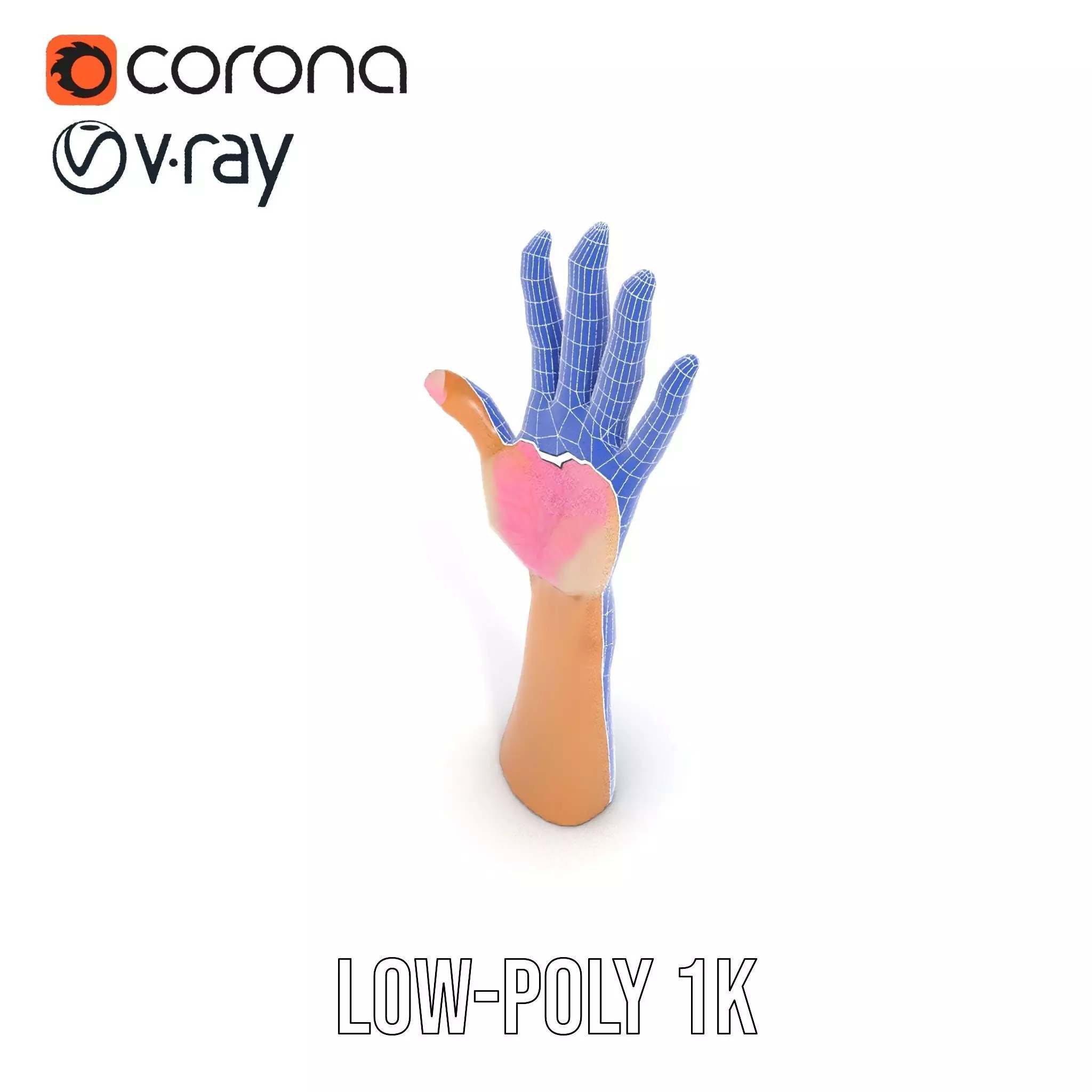 Realistic Hand Model Pack with Textured Skin Low-poly 3D model_29