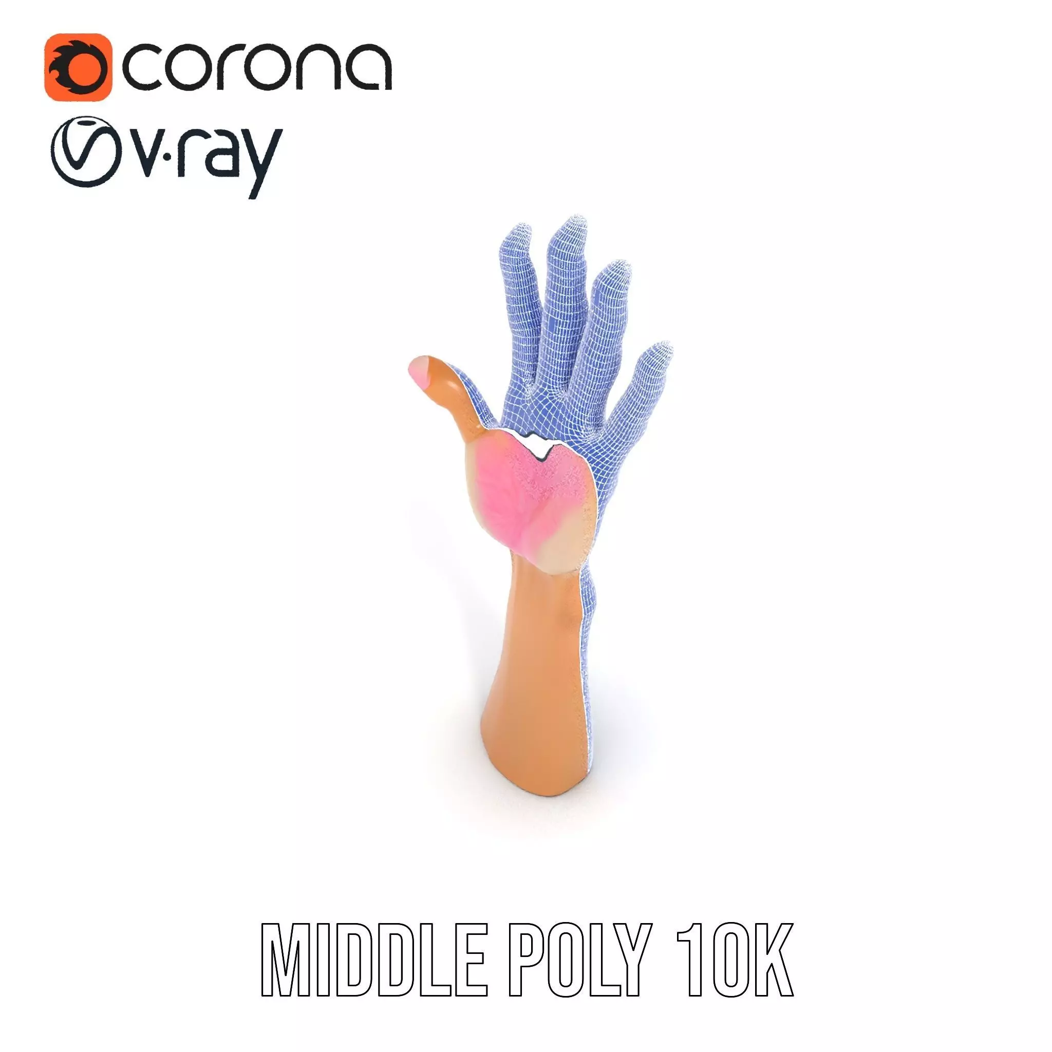 Realistic Hand Model Pack with Textured Skin Low-poly 3D model_30