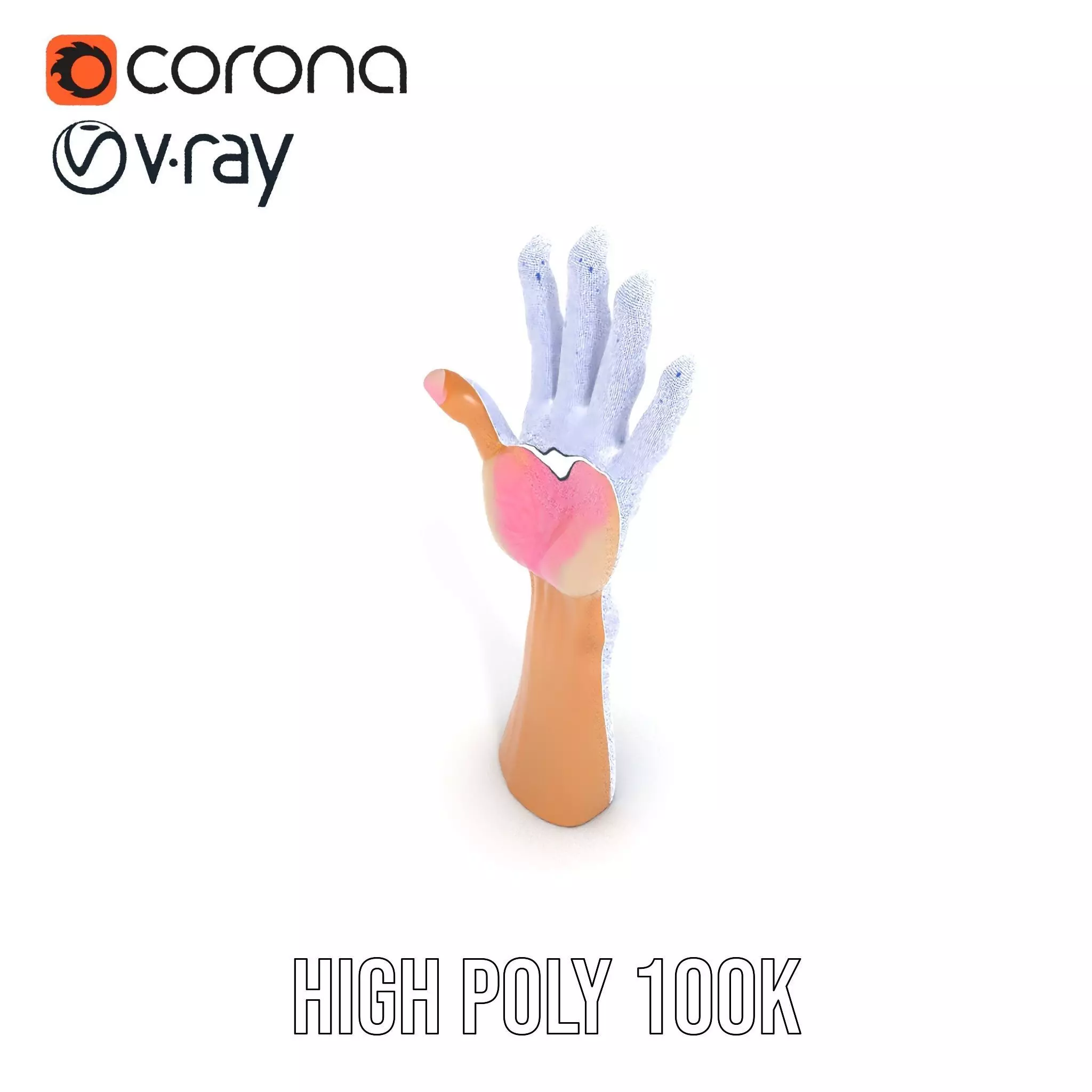 Realistic Hand Model Pack with Textured Skin Low-poly 3D model_21