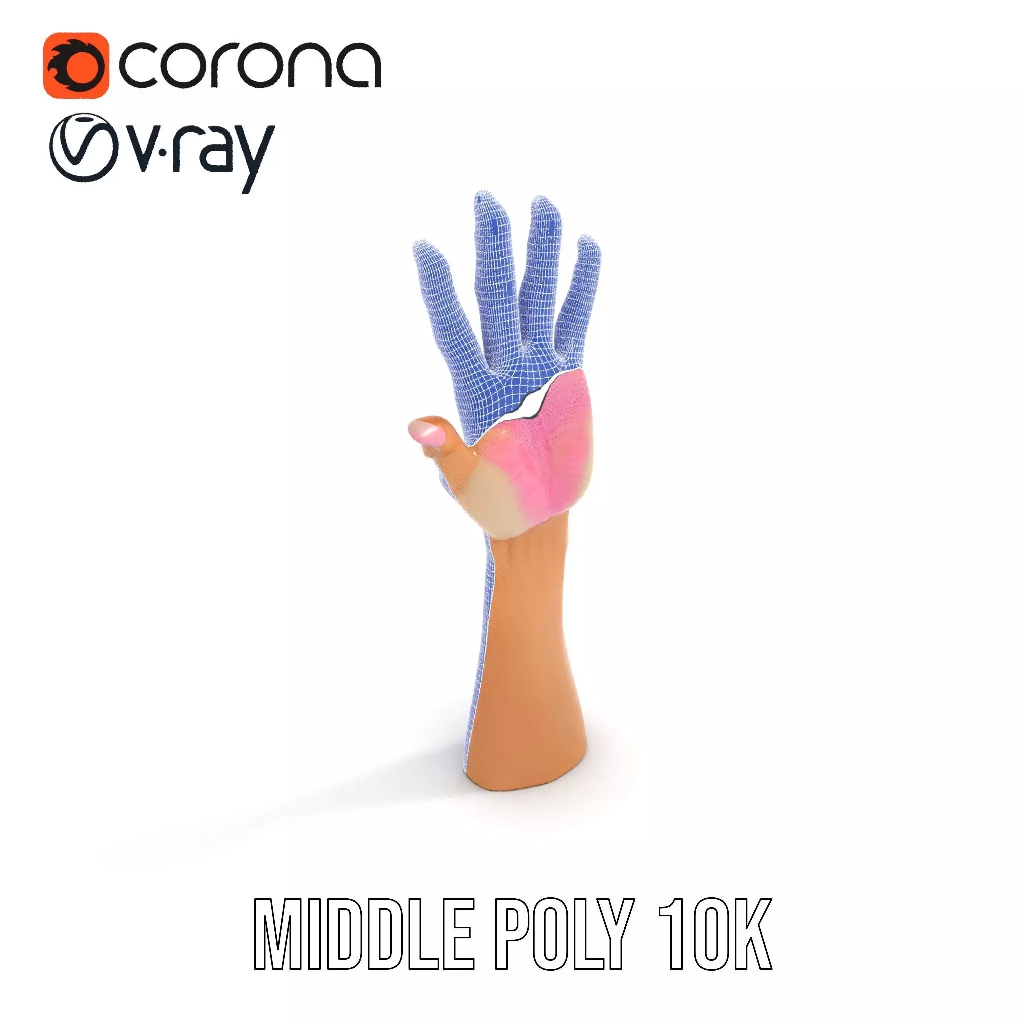 Realistic Hand Model Pack with Textured Skin Low-poly 3D model_25