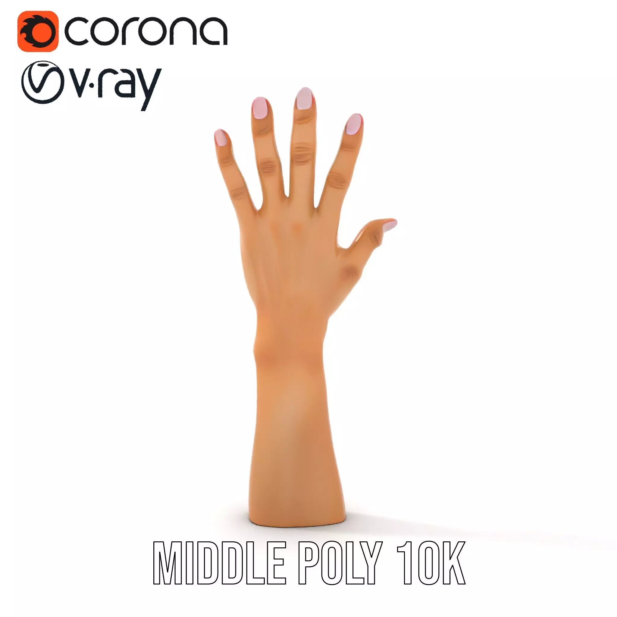 Realistic Hand Model Pack with Textured Skin Low-poly 3D model_7