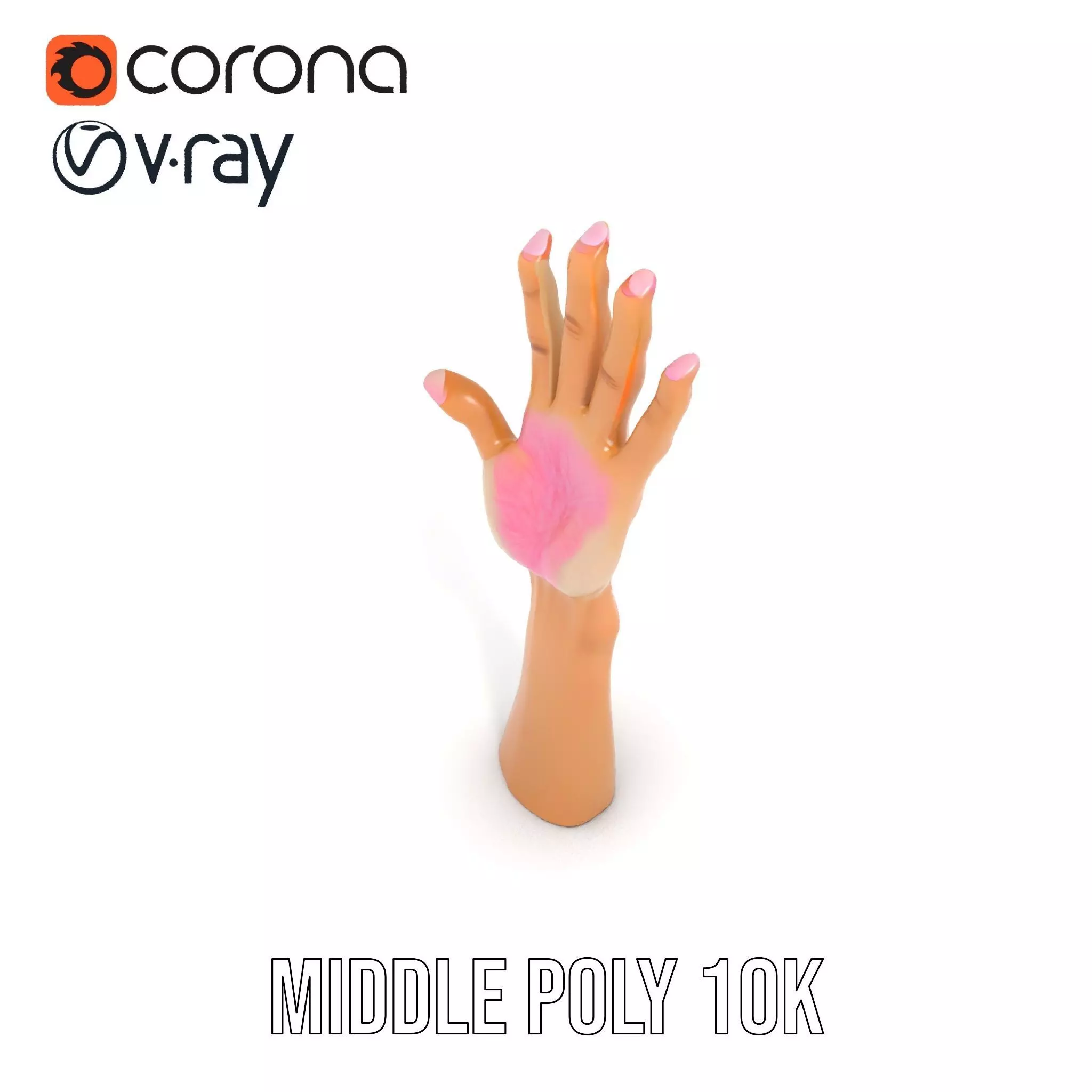 Realistic Hand Model Pack with Textured Skin Low-poly 3D model_14