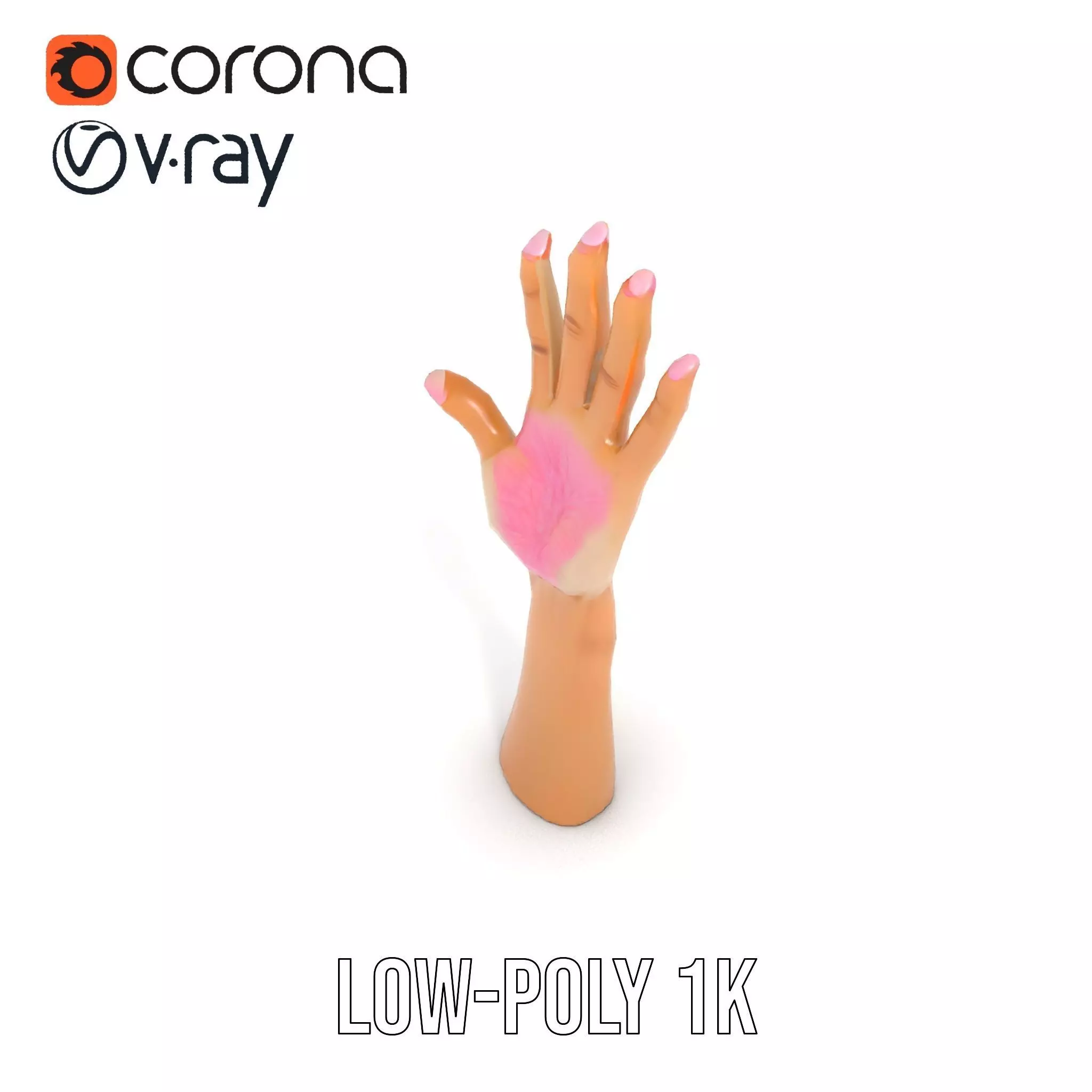 Realistic Hand Model Pack with Textured Skin Low-poly 3D model_10