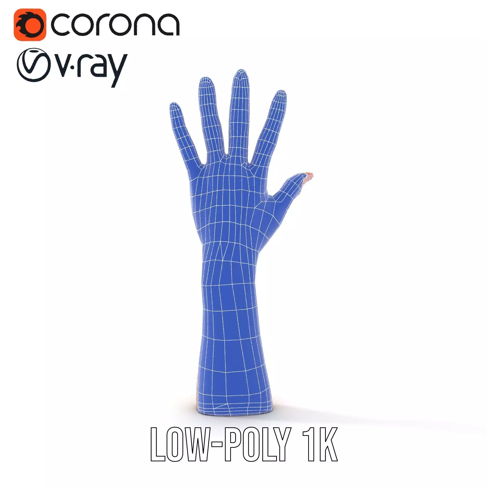 Realistic Hand Model Pack with Textured Skin Low-poly 3D model_20