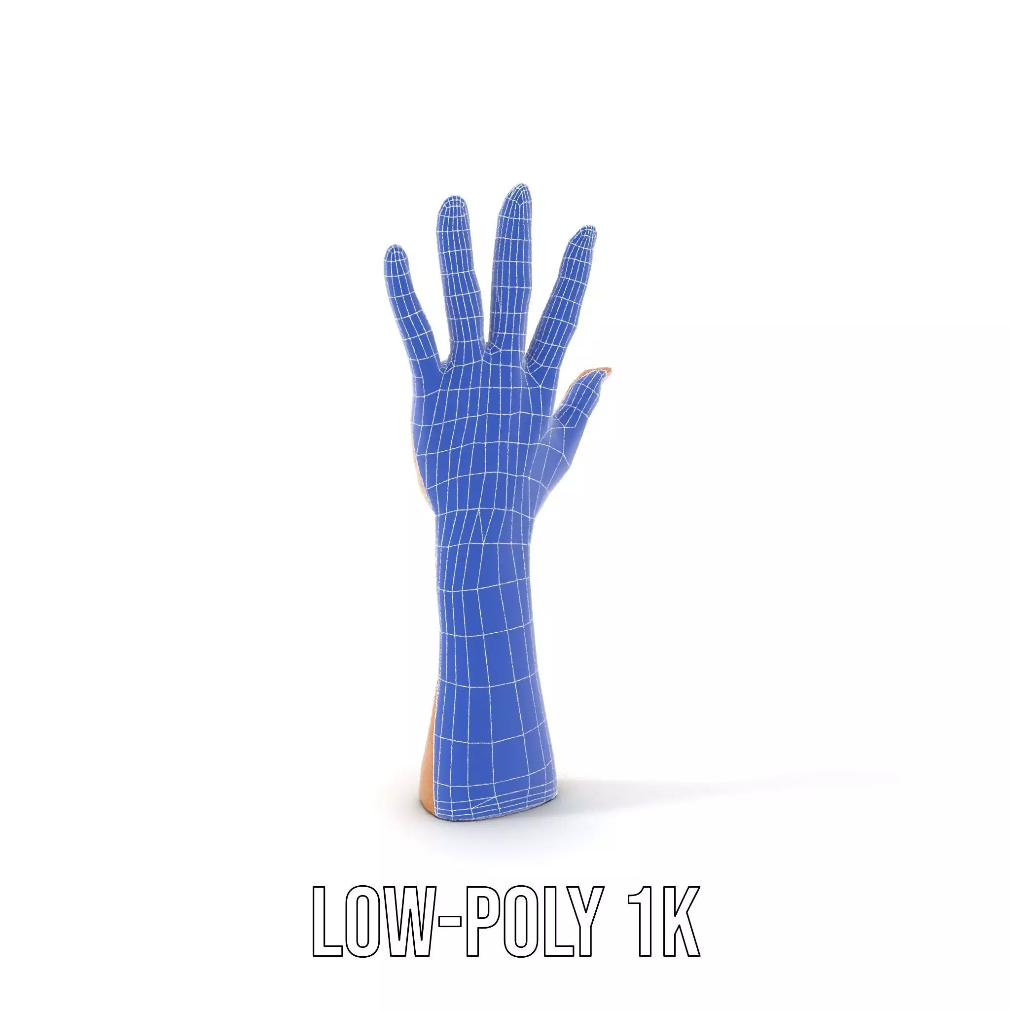 Realistic Hand Model Pack with Textured Skin Low-poly 3D model_15