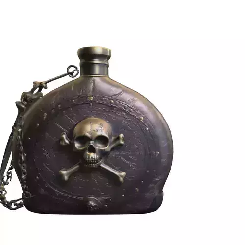 Black Skull Canteen