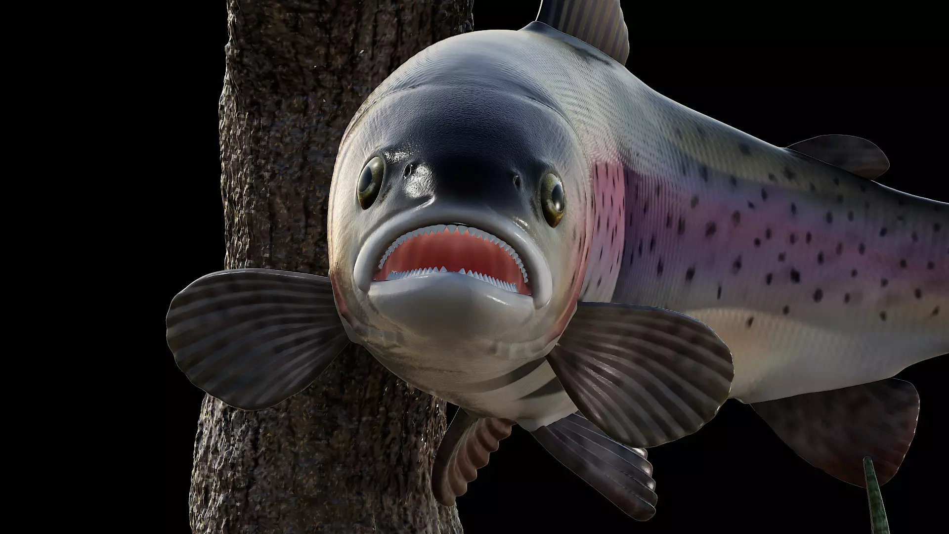 rainbow trout  detailed texture for 3d printing 3D print model_3