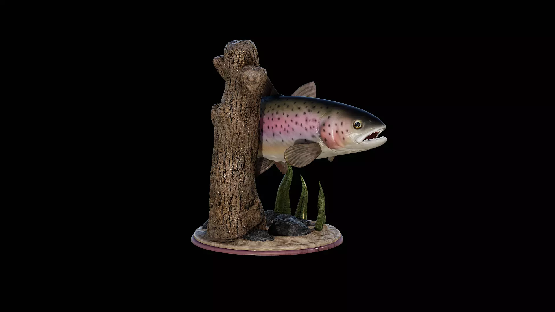 rainbow trout  detailed texture for 3d printing 3D print model_5