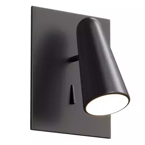 Lao wall light