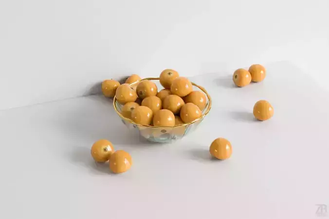 Physalis 3D model