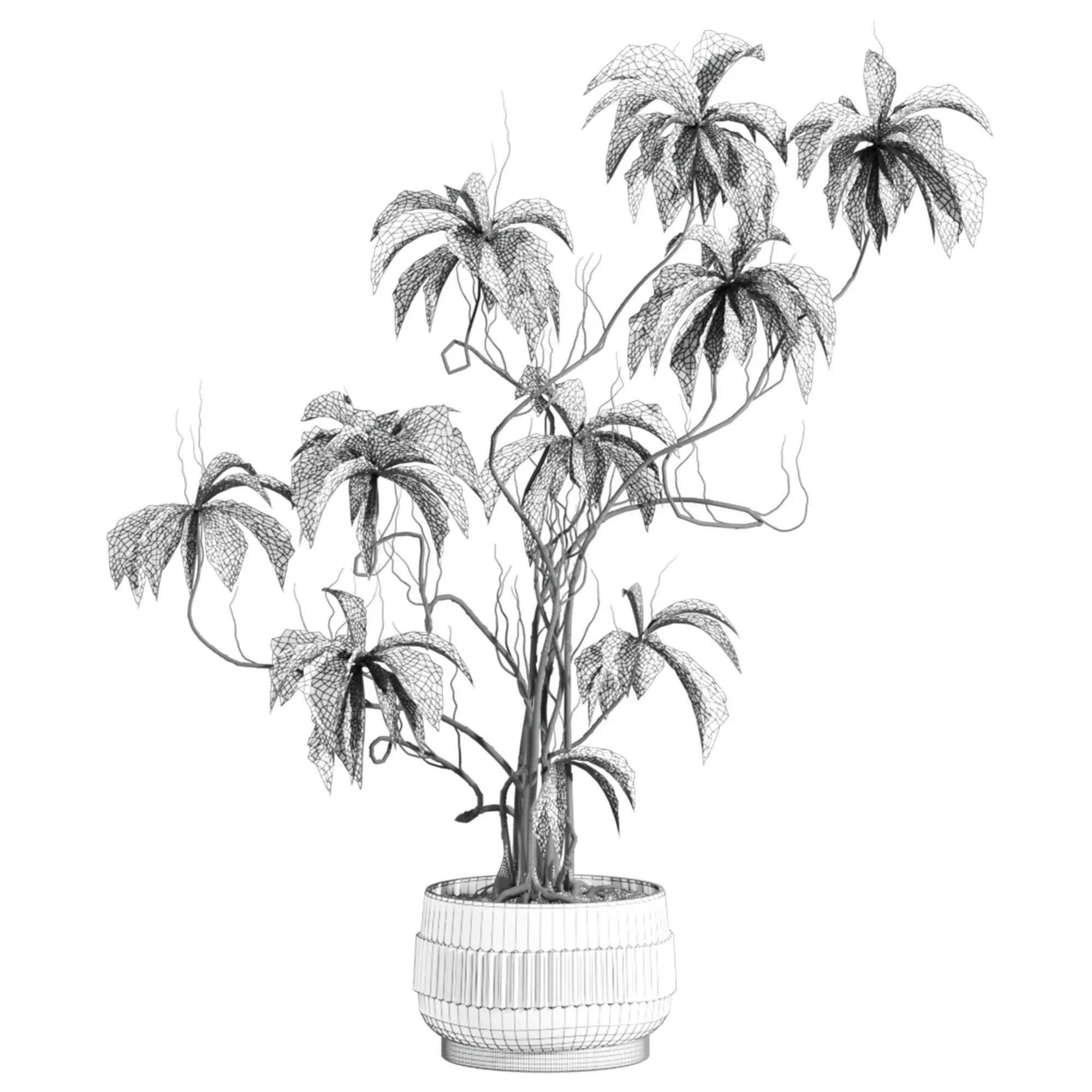 potted plant 3D model_3